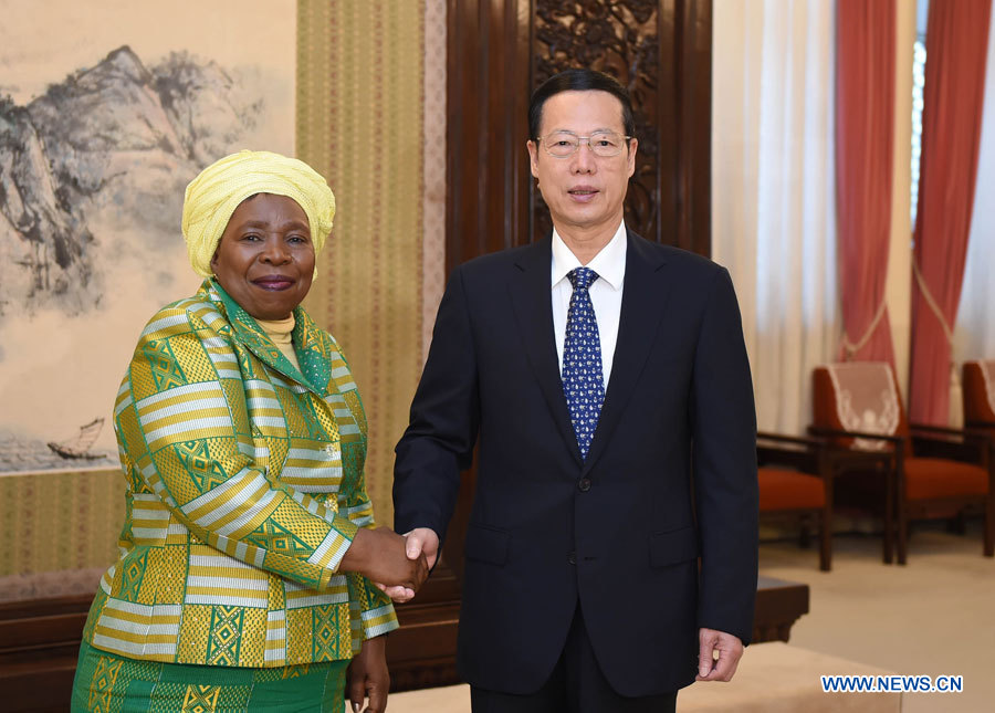 Un vice-PM chinois exprime son soutien à l'Union africaine