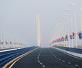 Ouverture à la circulation du Pont de l'Amitié Sino-française à Wuhan
