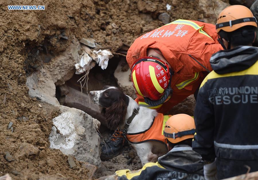 Chine : neuf morts et 28 disparus après un glissement de terrain au Zhejiang
