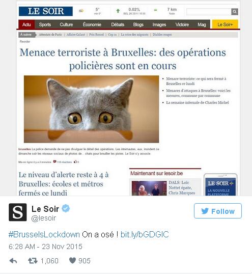 Bruxelles répond aux menaces terroristes et au blocage de la ville avec des chats