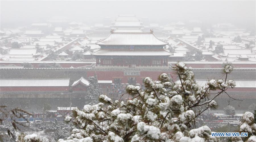 Paysages magnifiques de neige de Beijing