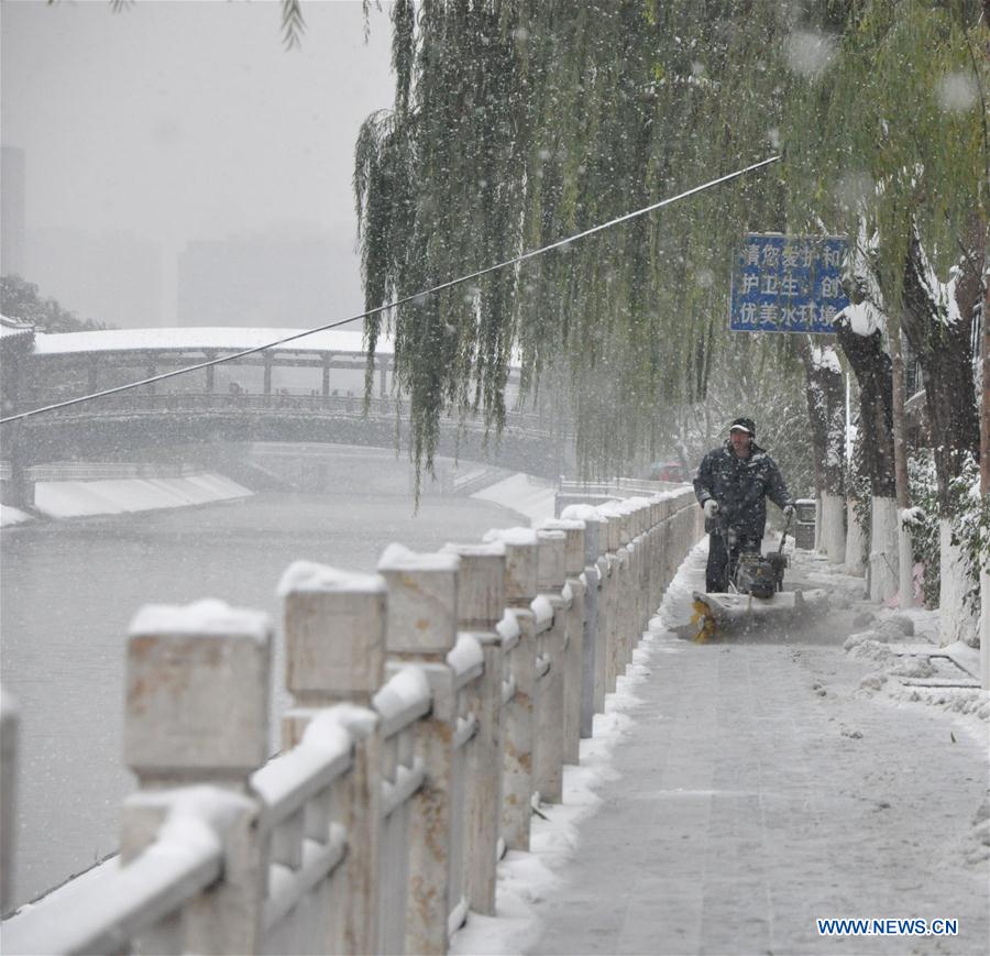 Paysages magnifiques de neige de Beijing
