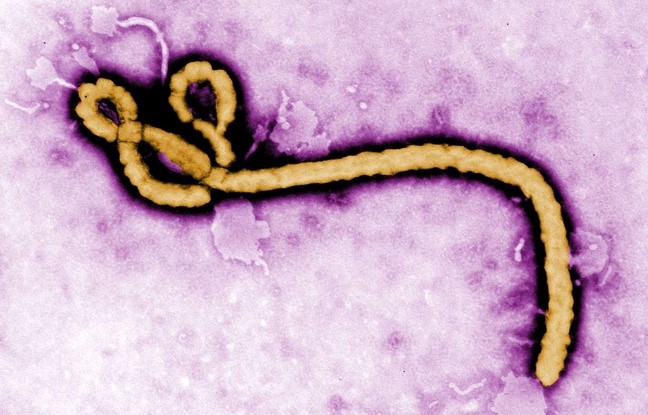 Premier nouveau cas mortel d'Ebola au Libéria depuis le mois de juillet