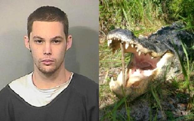Un voleur plonge dans un étang pour échapper à la police : il est dévoré par un alligator