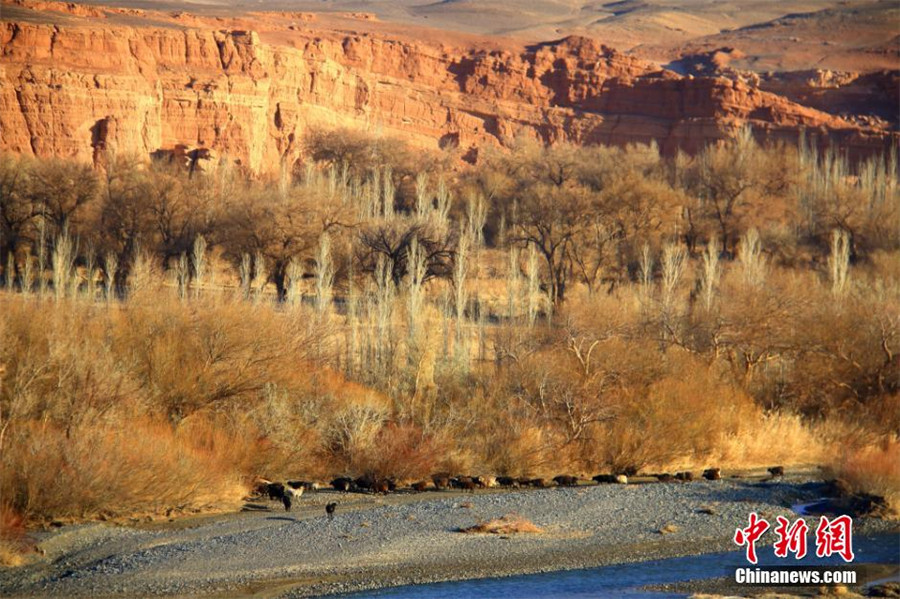 Xinjiang : les paysages flamboyants de la vallée de Honghe