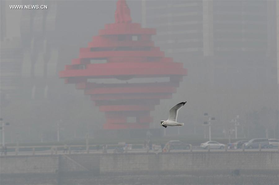 Plusieurs villes chinoises plongées dans le smog