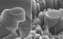 Des scientifiques californiens créent un métal à la fois ultraléger et ultrarésistant
