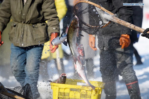 Pêche hivernale sur un lac gelé à Harbin