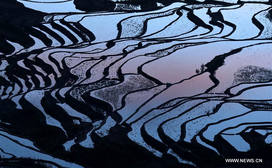 Paysage culturel des rizières en terrasse des Hani de Honghe 