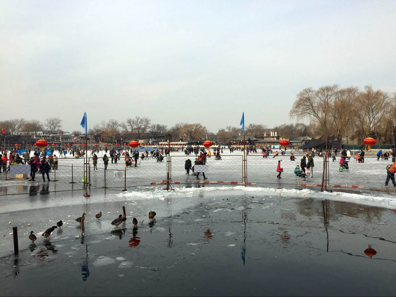Sport hivernal : patinage à Beijing