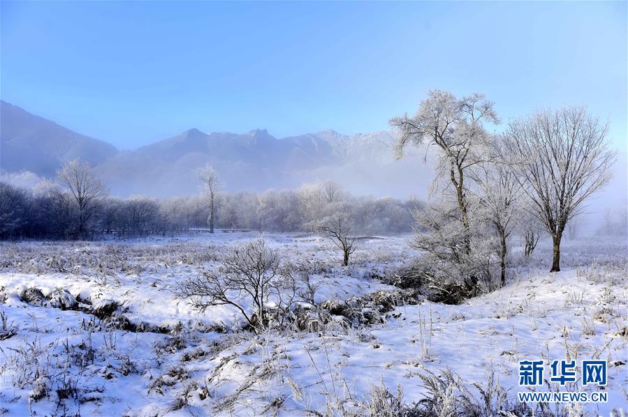 Galerie : les paysages hivernaux des zones humides de Dajiuhu