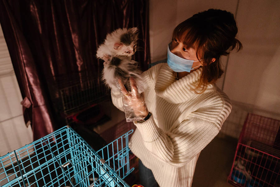 Une passionnée de chats dans le Guandong