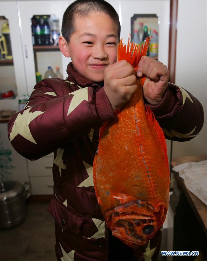 E-commerce : des fruits de mer de Nouvelle-Zélande cuisinés en Chine