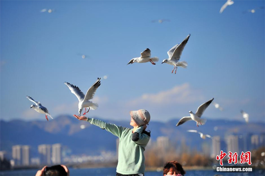 Kunming : après la vague de froid, le soleil revient