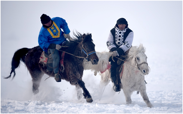 Bataille pour un mouton sous la neige dans le Xinjiang