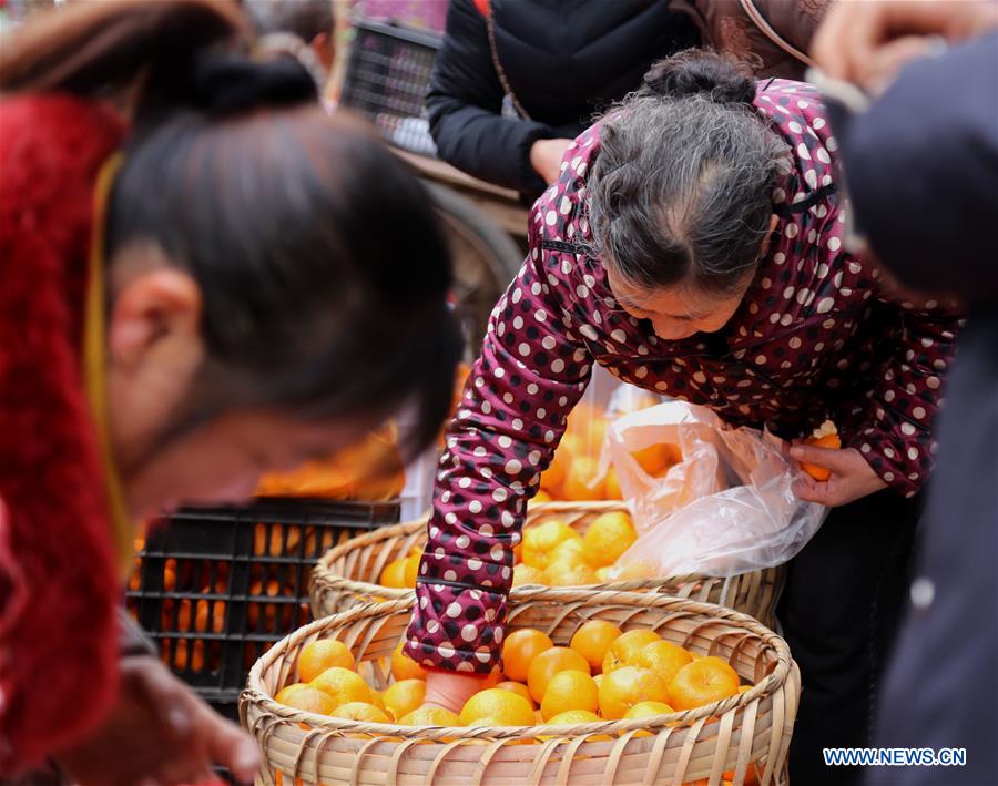 Fête du Printemps: Des gens font des achats au Guizhou