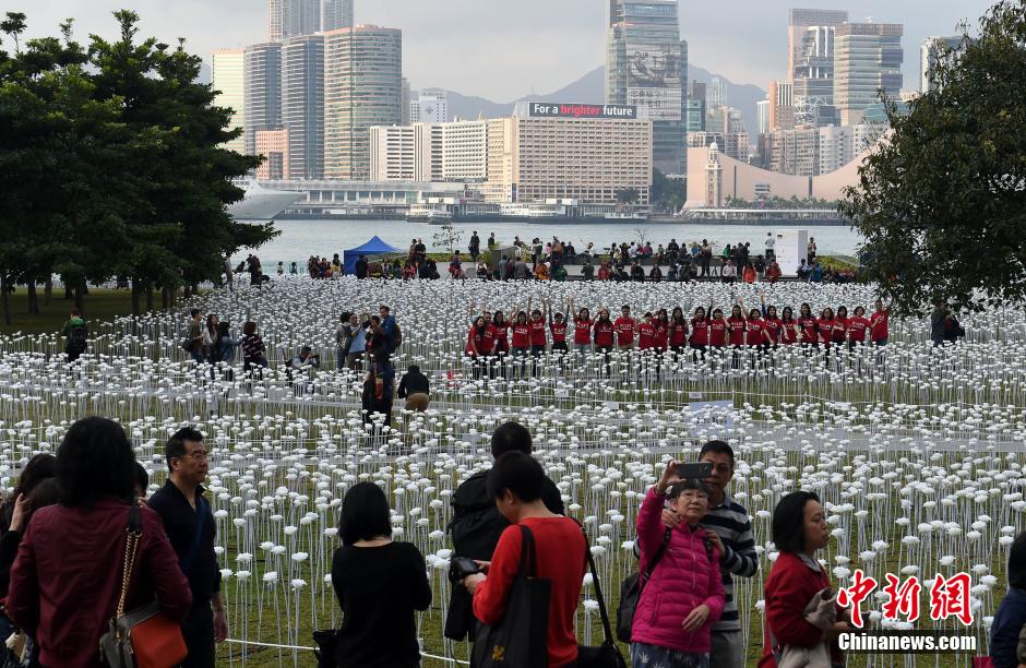Saint-Valentin: des roses blanches pour illuminer Hongkong