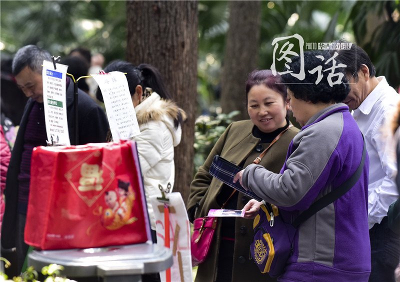 Chengdu : des parents cherchent le grand amour pour leurs enfants