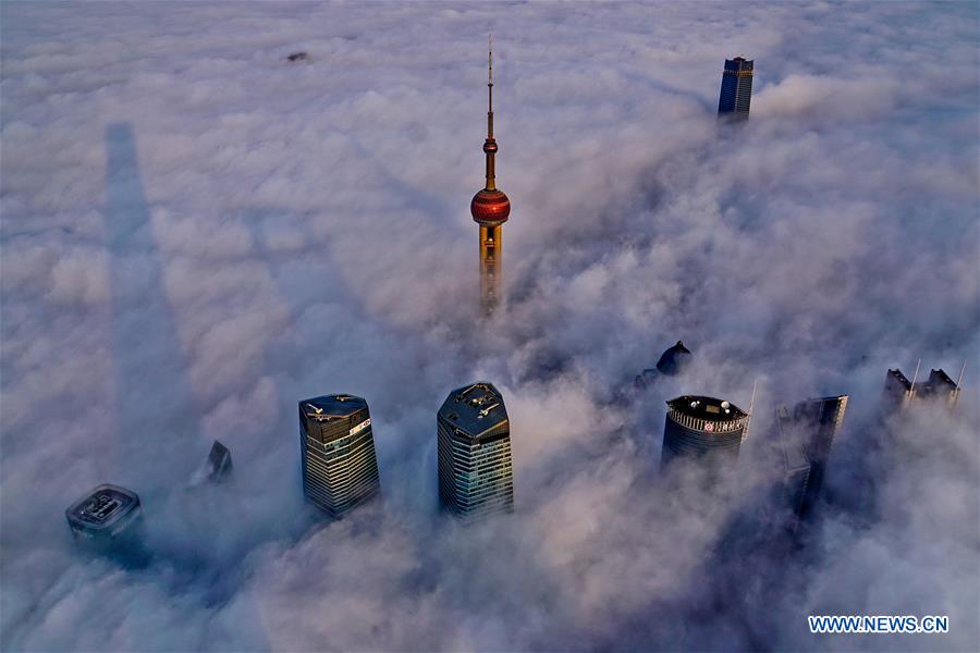Shanghai : les gratte-ciel emblématiques au-dessus des nuages