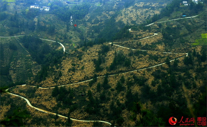 Anhui : de magnifiques vues printanières 
