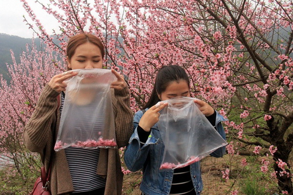 Des villageois du Guangdong vendent de l'air frais aux résidents urbains