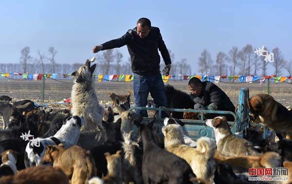 L’histoire de Wang Yan et son amour pour les chiens