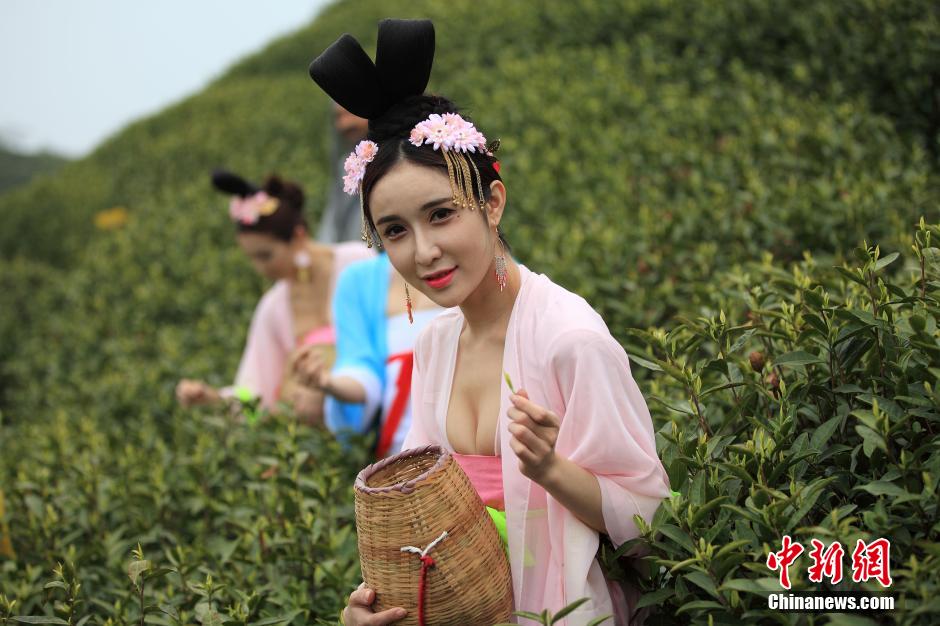 Du thé pour les femmes de la dynastie des Tang 