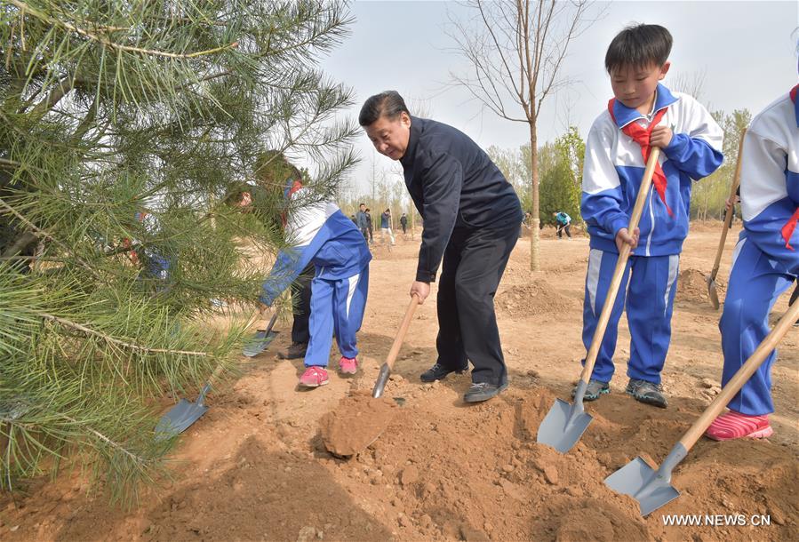 Le président chinois plante des arbres et exhorte au développement forestier