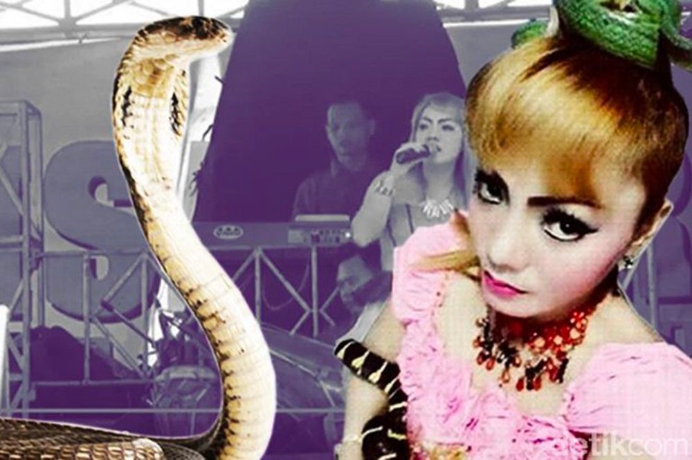 Une chanteuse indonésienne meurt après avoir été mordue sur scène par un cobra