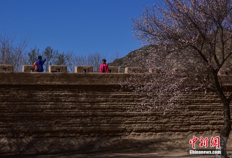 Gansu : les couleurs du printemps à la Grande Muraille de Jiayuguan