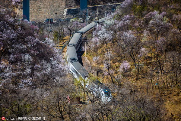 Qinglongqiao, une gare témoin de 100 ans d'évolution des trains en Chine