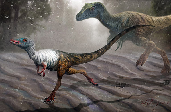 Une découverte d'empreintes pour mieux connaître les dinosaures