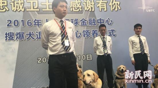 Shanghai : adoption et retraite pour des chiens hors du commun 