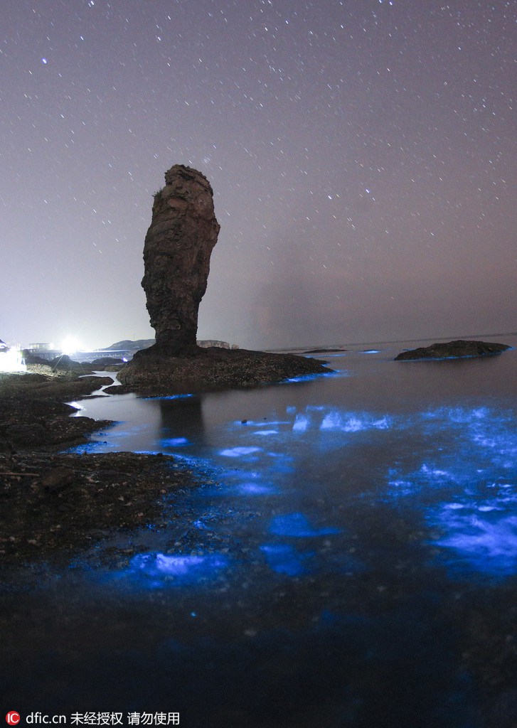 De magnifiques vagues fluorescentes dans le nord de la Chine 