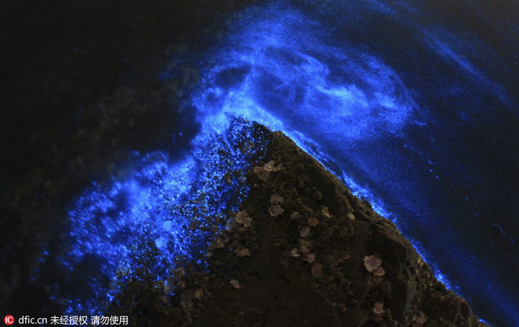 De magnifiques vagues fluorescentes dans le nord de la Chine 