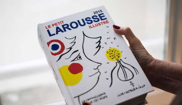 Le Petit Larousse : un nouveau vocabulaire adapté à l’actualité