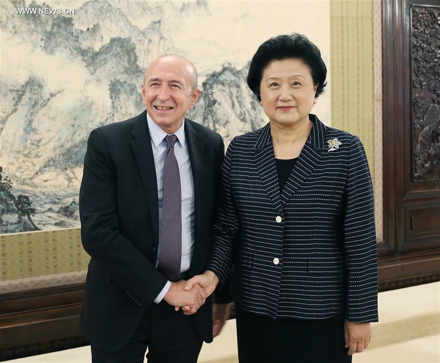 Liu Yandong rencontre le maire de Lyon