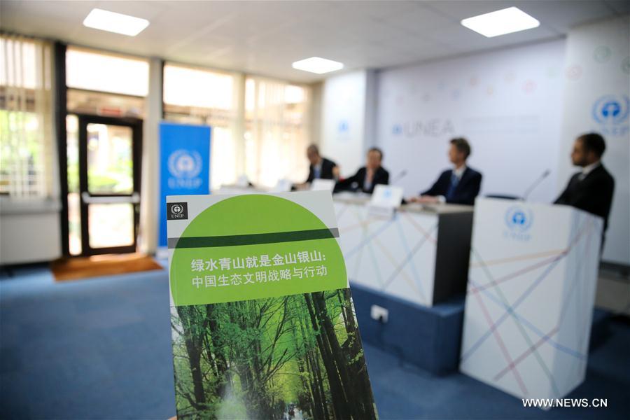 Un quart de la Chine sera couvert de forêts dans le cadre du développement d'une 