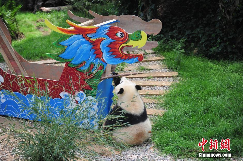 Traitement de faveur pour les pandas du Parc de Kunming pour le Festival Duanwu