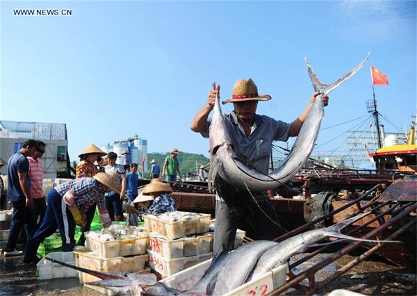 Une interdiction de pêche de 10 ans dans le Yangtze ?
