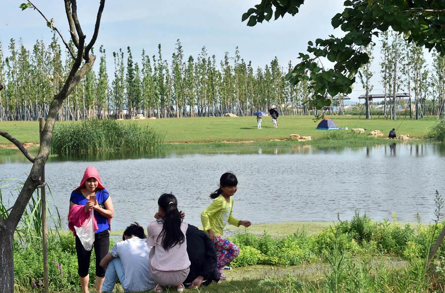 Des terrains humides pour la préservation du lac Dianchi 