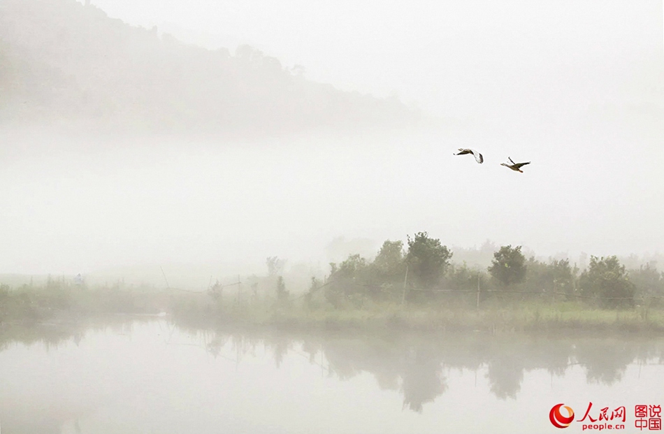 La rivière de Xin'an dans la brume avant l'aube
