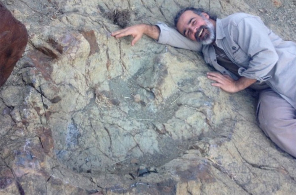 Bolivie : découverte d’une énorme empreinte de dinosaure 