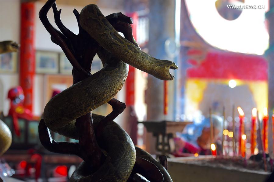 Cérémonie de culte du serpent dans la Province du Fujian