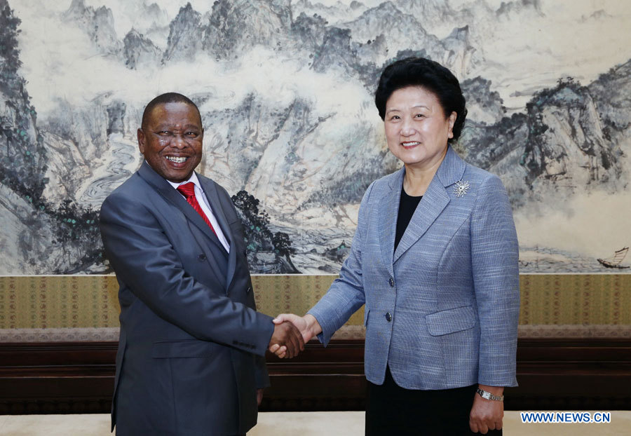 Une vice-PM chinoise rencontre une délégation du Parti communiste d'Afrique du Sud