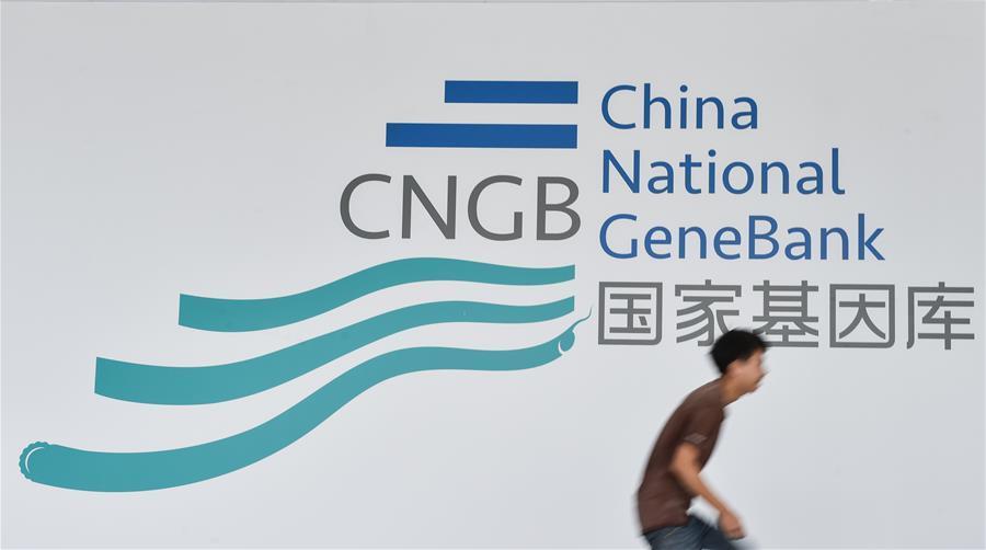 A la découverte de la Banque chinoise de gènes 
