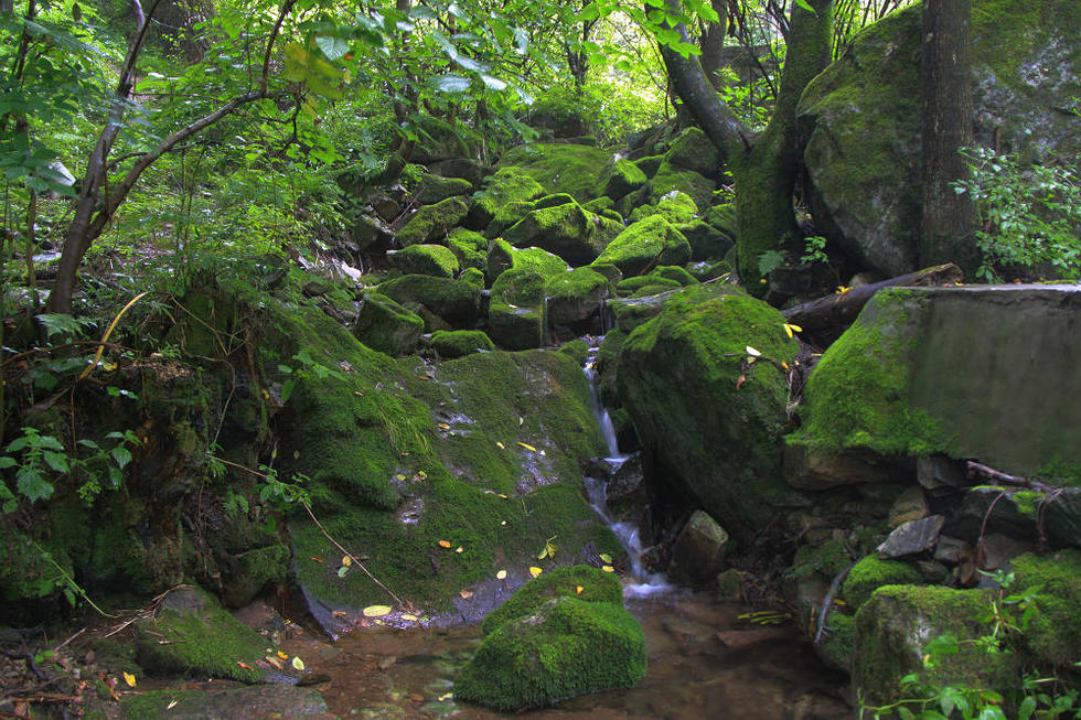 Les merveilles du Nord du Mont Taibai : le Parc forestier de la Vallée de la Rivière Rouge