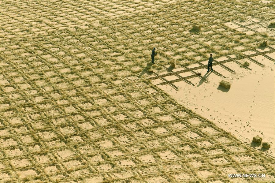 Stabilisation du sable dans un désert dans le nord-ouest de la Chine