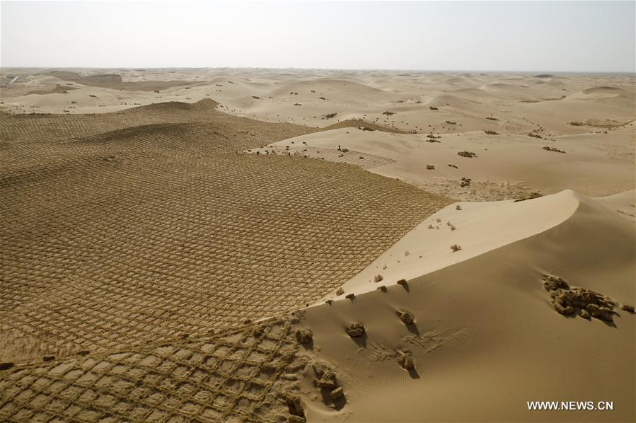 Stabilisation du sable dans un désert dans le nord-ouest de la Chine