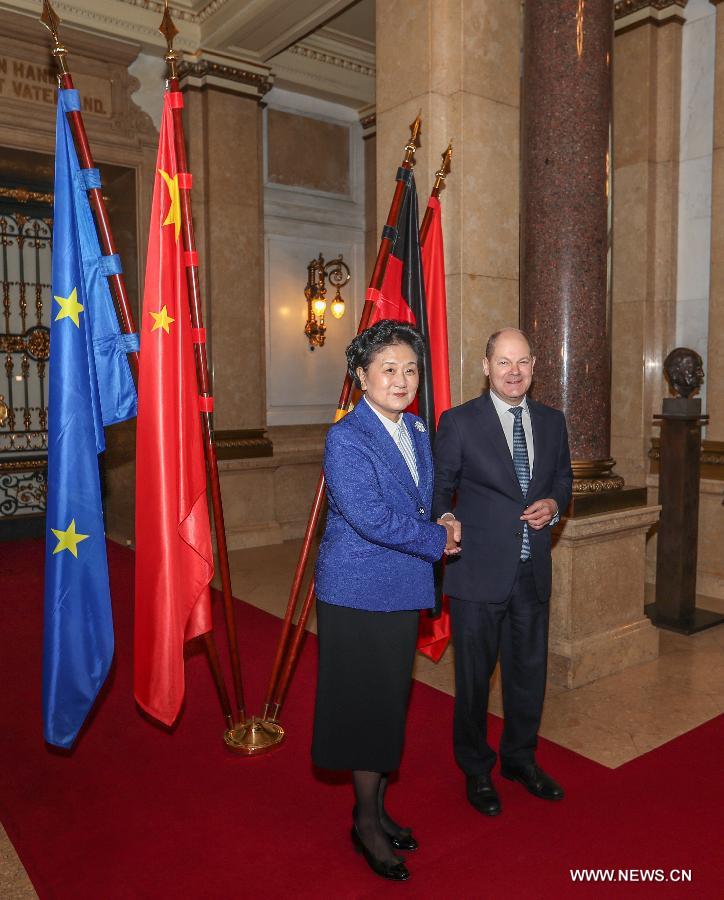 Liu Yandong salue le rôle de Sommet de Hambourg dans le renforcement de la compréhension Chine-UE
